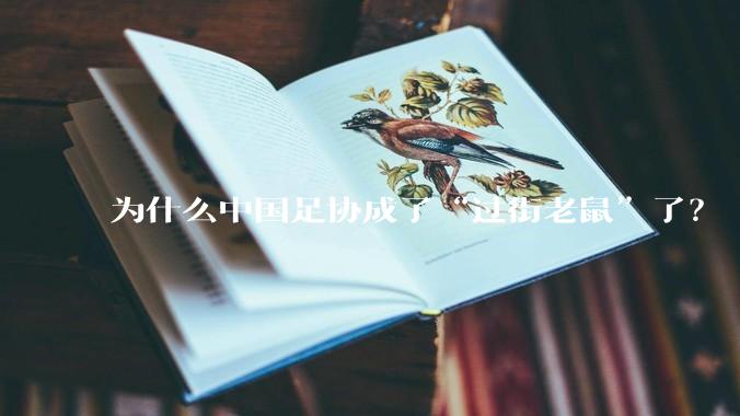 为什么中国足协成了“过街老鼠”了？