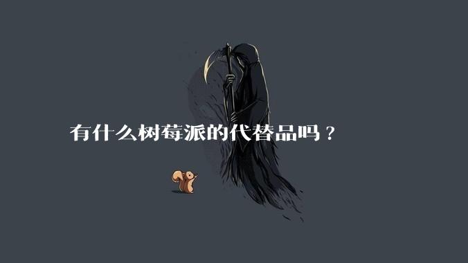 有什么树莓派的代替品吗?